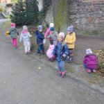 phoca_thumb_m_zmeck krteci 13 Fotogalerie